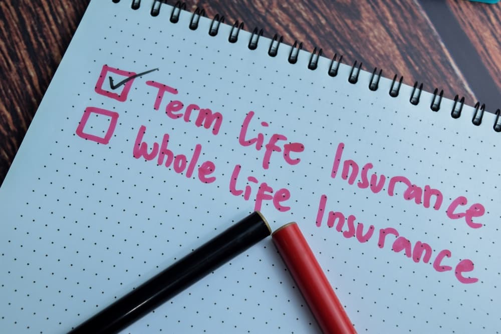 term and whole life insurance