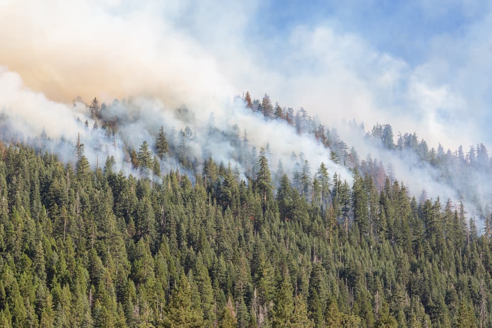 How Wildfires Impact Commercial Insurance Rates in California