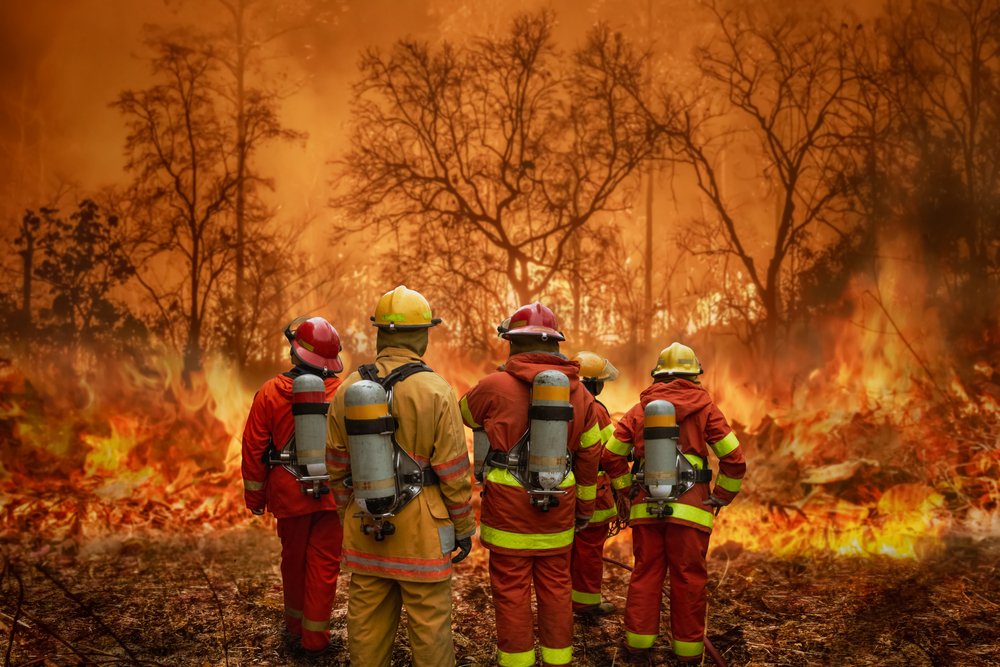 What to Do Immediately After a Wildfire Damages Your Property in California