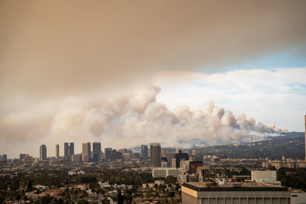 ¿Qué hacer después de que un incendio afectó tus bienes en California?